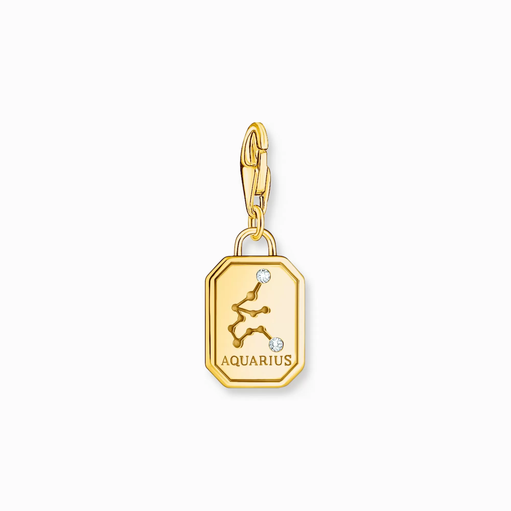Clearance Charm de plata con baño de oro del signo del Zodiaco Acuario con piedras Mujer Charms | Charms