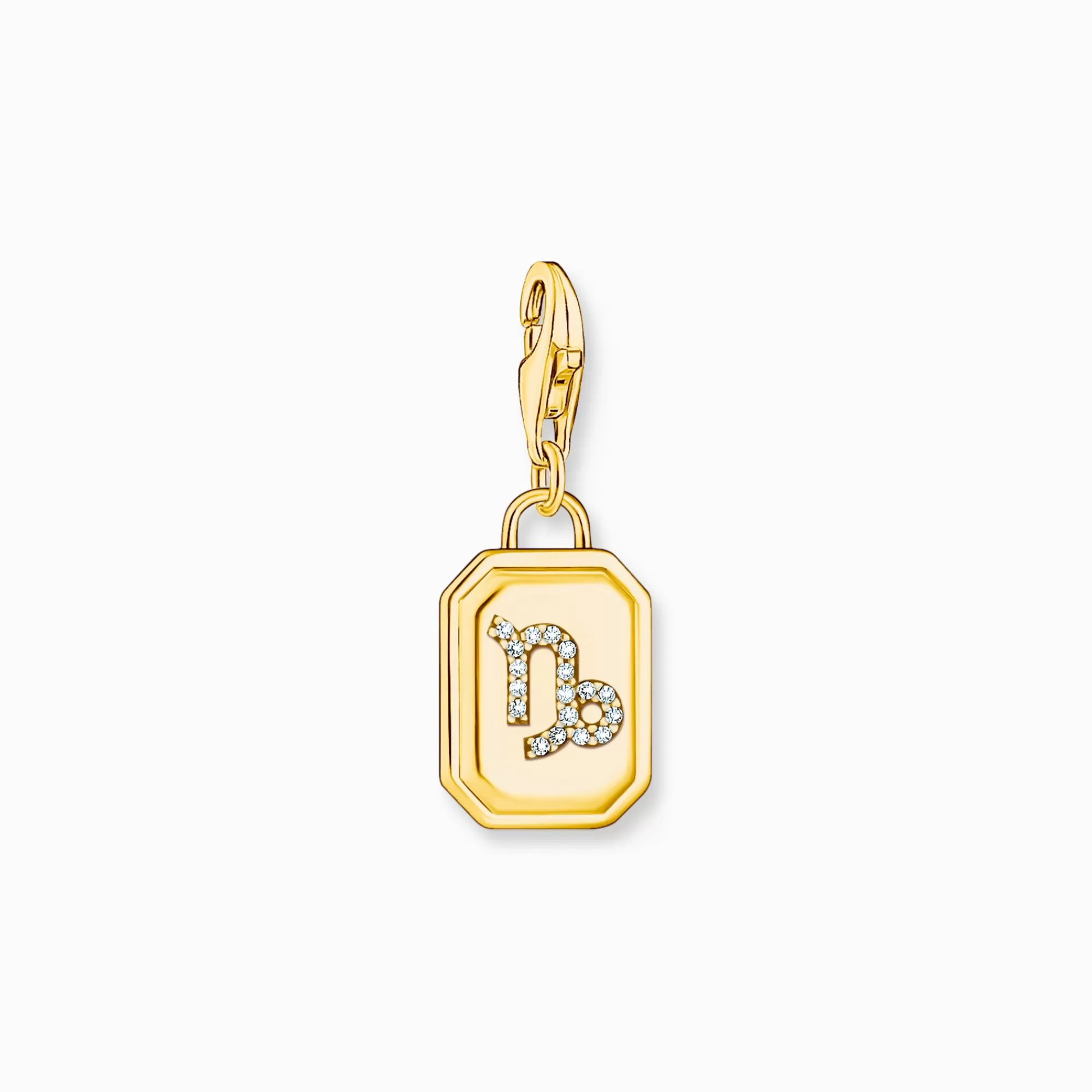 Online Charm de plata con baño de oro del signo del Zodiaco Capricornio con piedras Mujer Charms | Charms