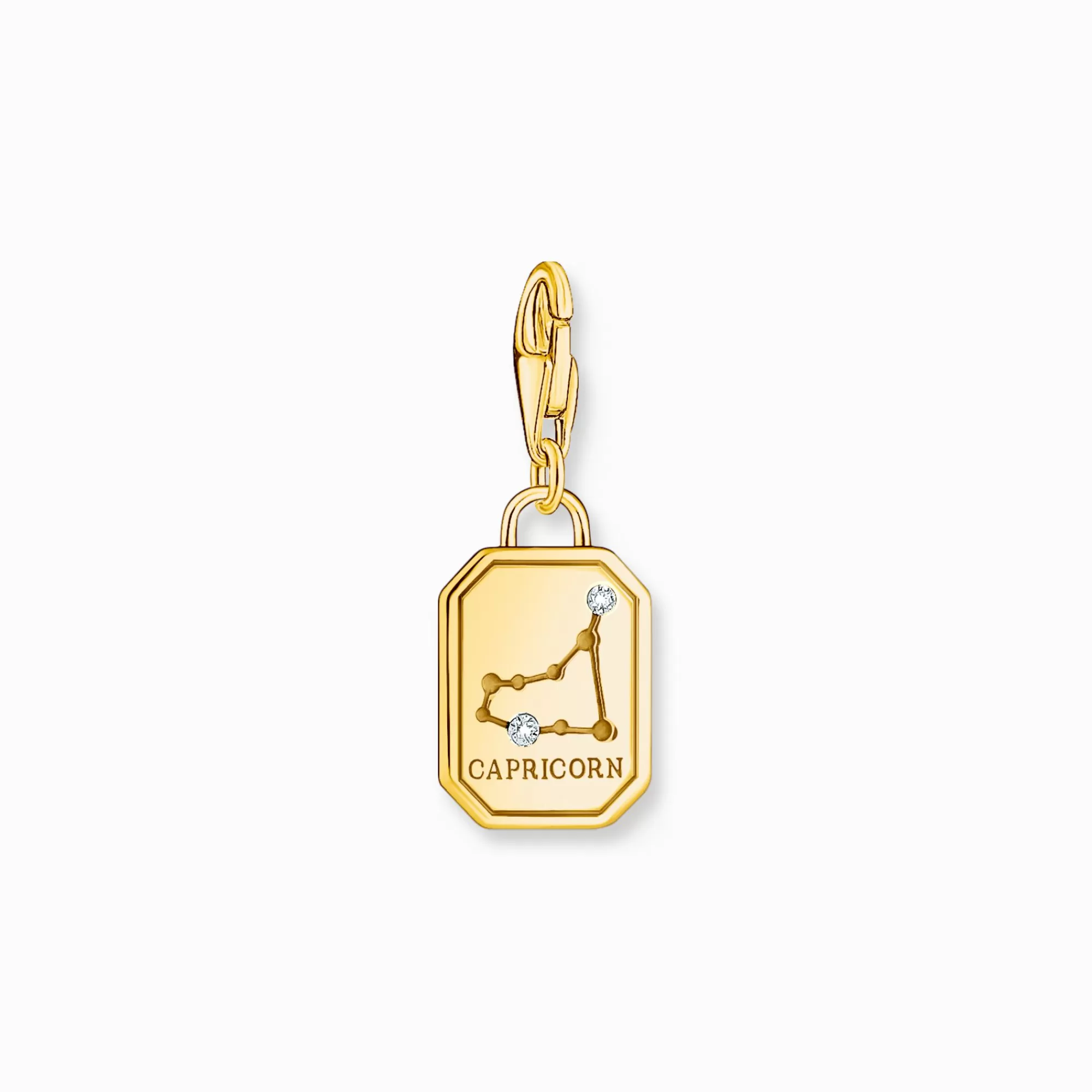 Online Charm de plata con baño de oro del signo del Zodiaco Capricornio con piedras Mujer Charms | Charms
