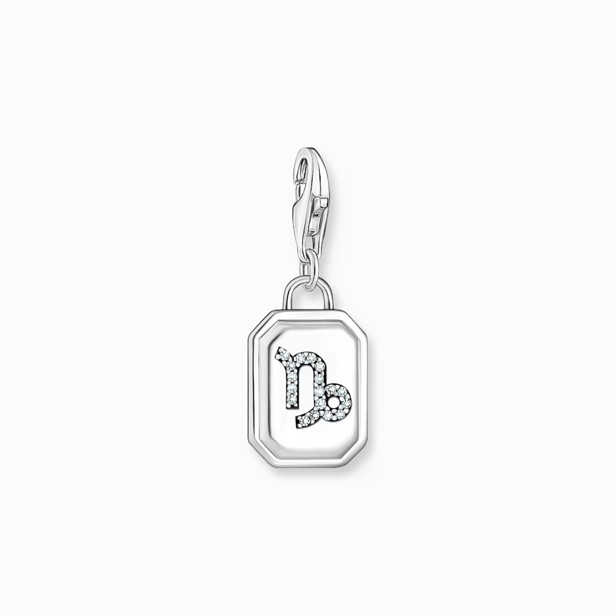 Online Charm de plata del signo del Zodiaco Capricornio con piedras Mujer Charms | Charms