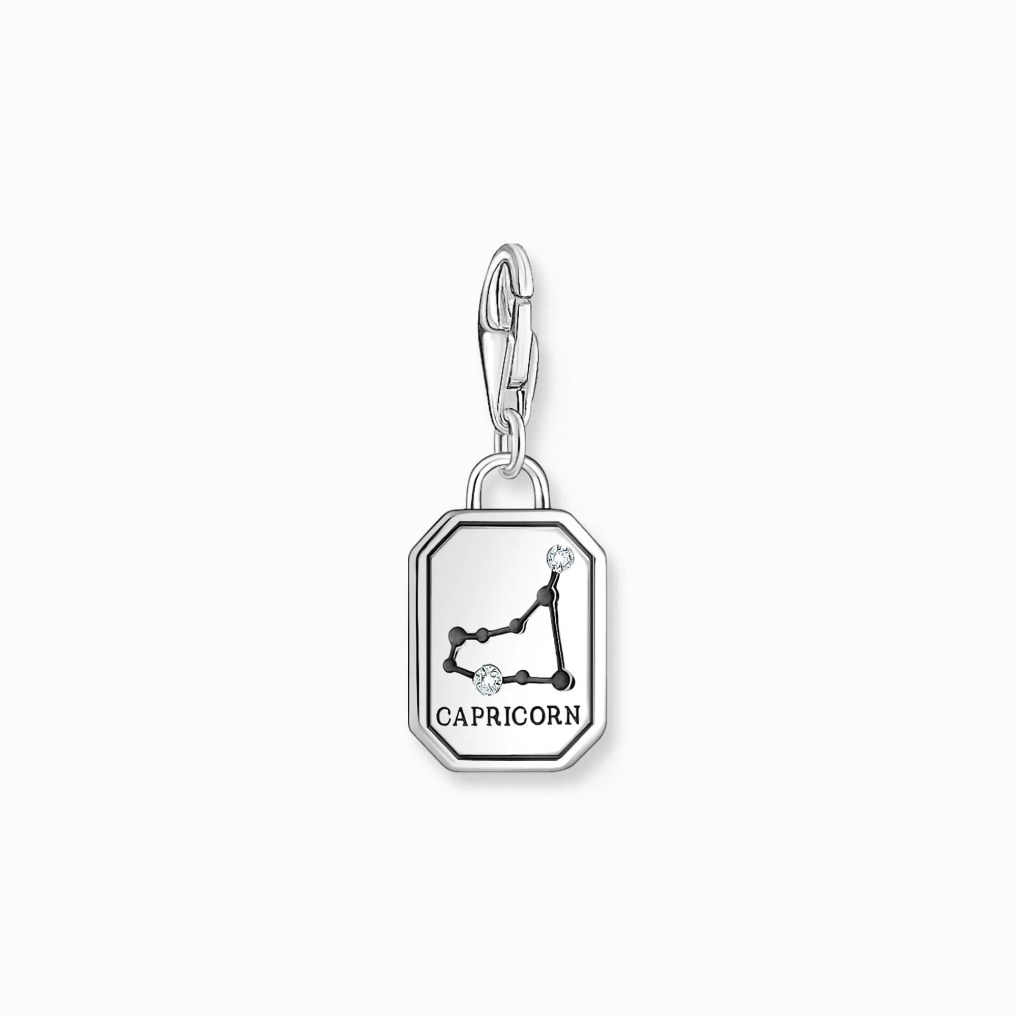 Online Charm de plata del signo del Zodiaco Capricornio con piedras Mujer Charms | Charms