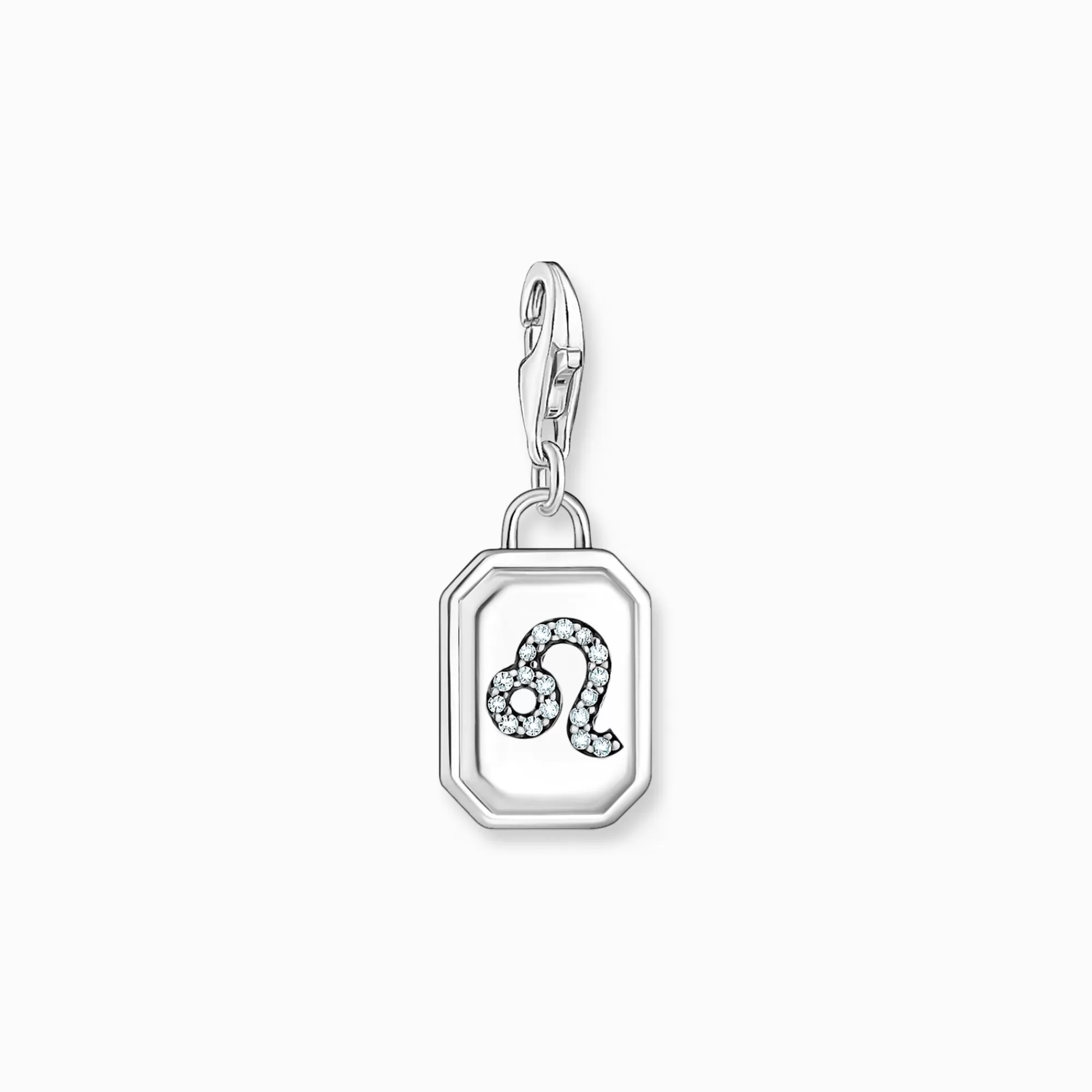 Hot Charm de plata del signo del Zodiaco Leo con piedras Mujer Charms | Charms