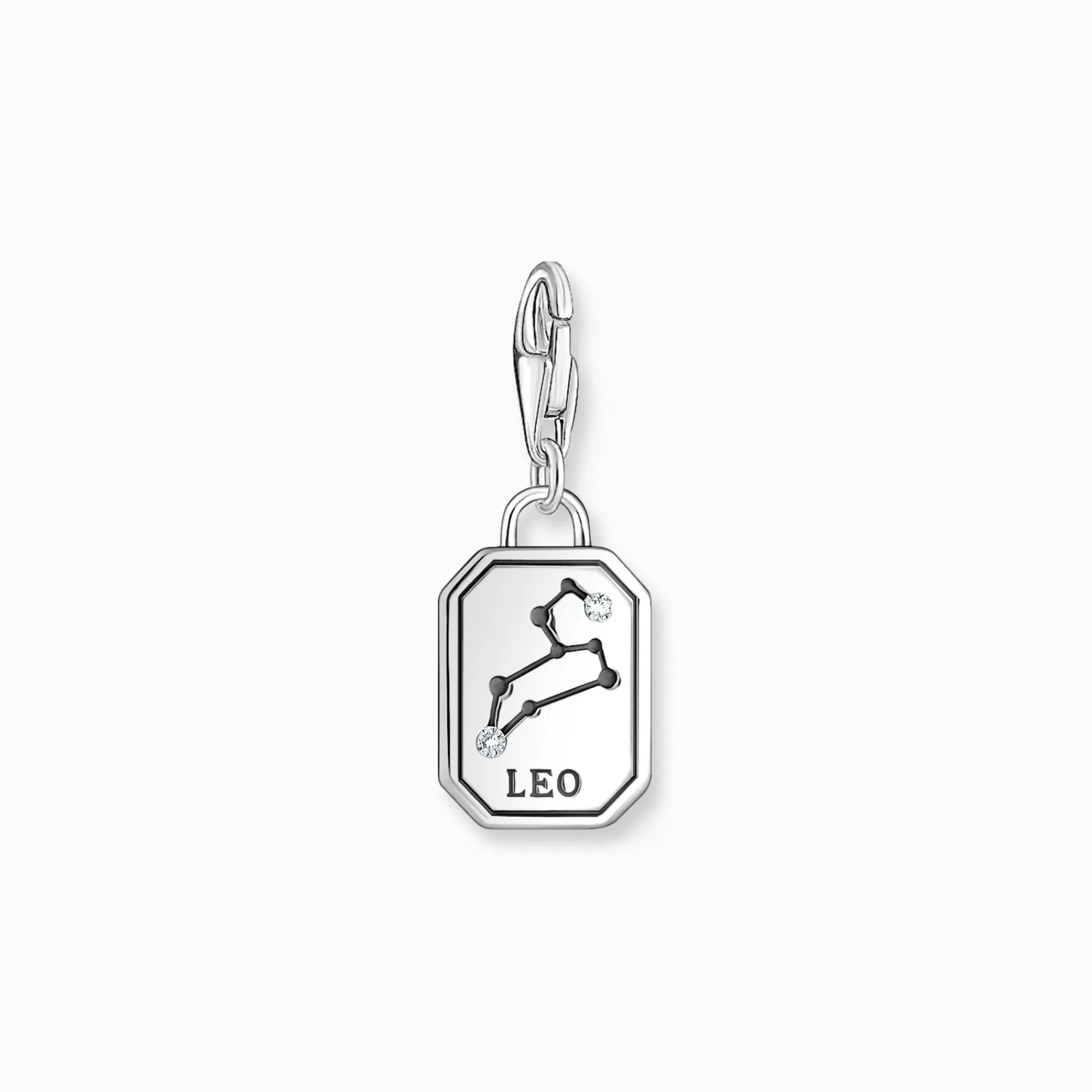 Hot Charm de plata del signo del Zodiaco Leo con piedras Mujer Charms | Charms