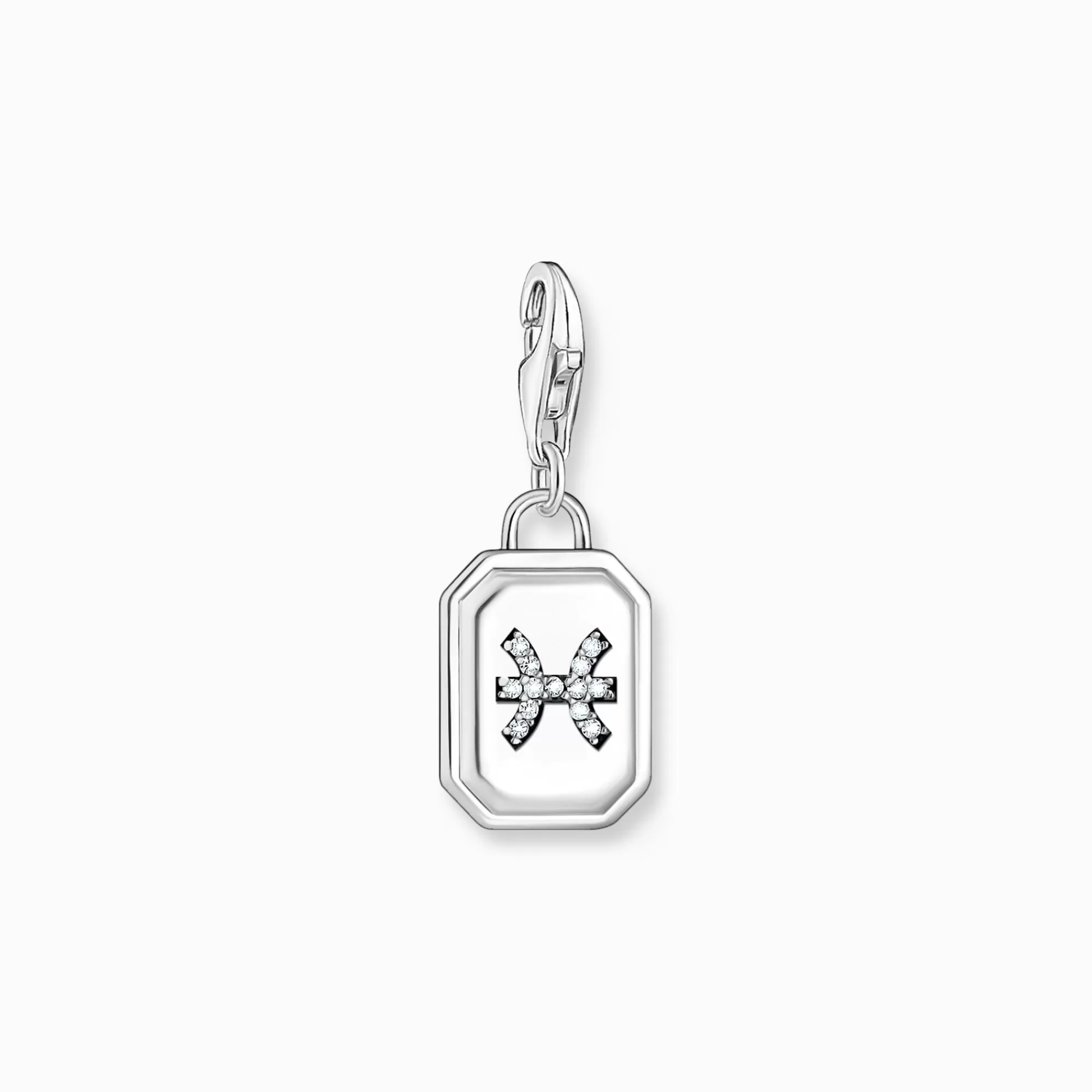 Hot Charm de plata del signo del Zodiaco Piscis con piedras Mujer Charms | Charms