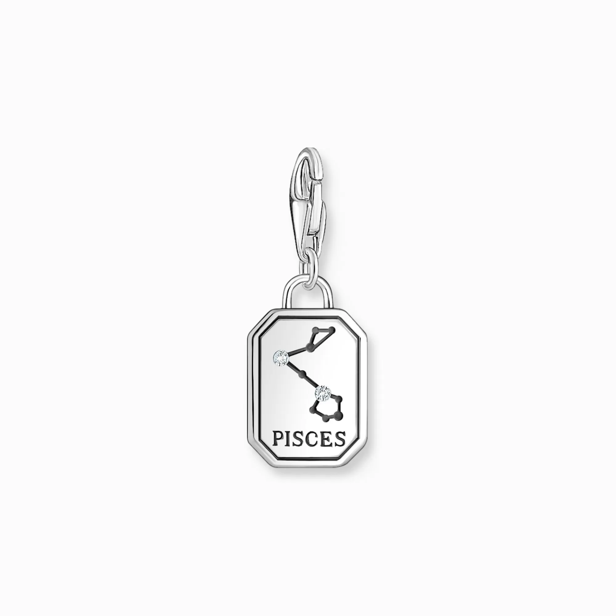 Hot Charm de plata del signo del Zodiaco Piscis con piedras Mujer Charms | Charms
