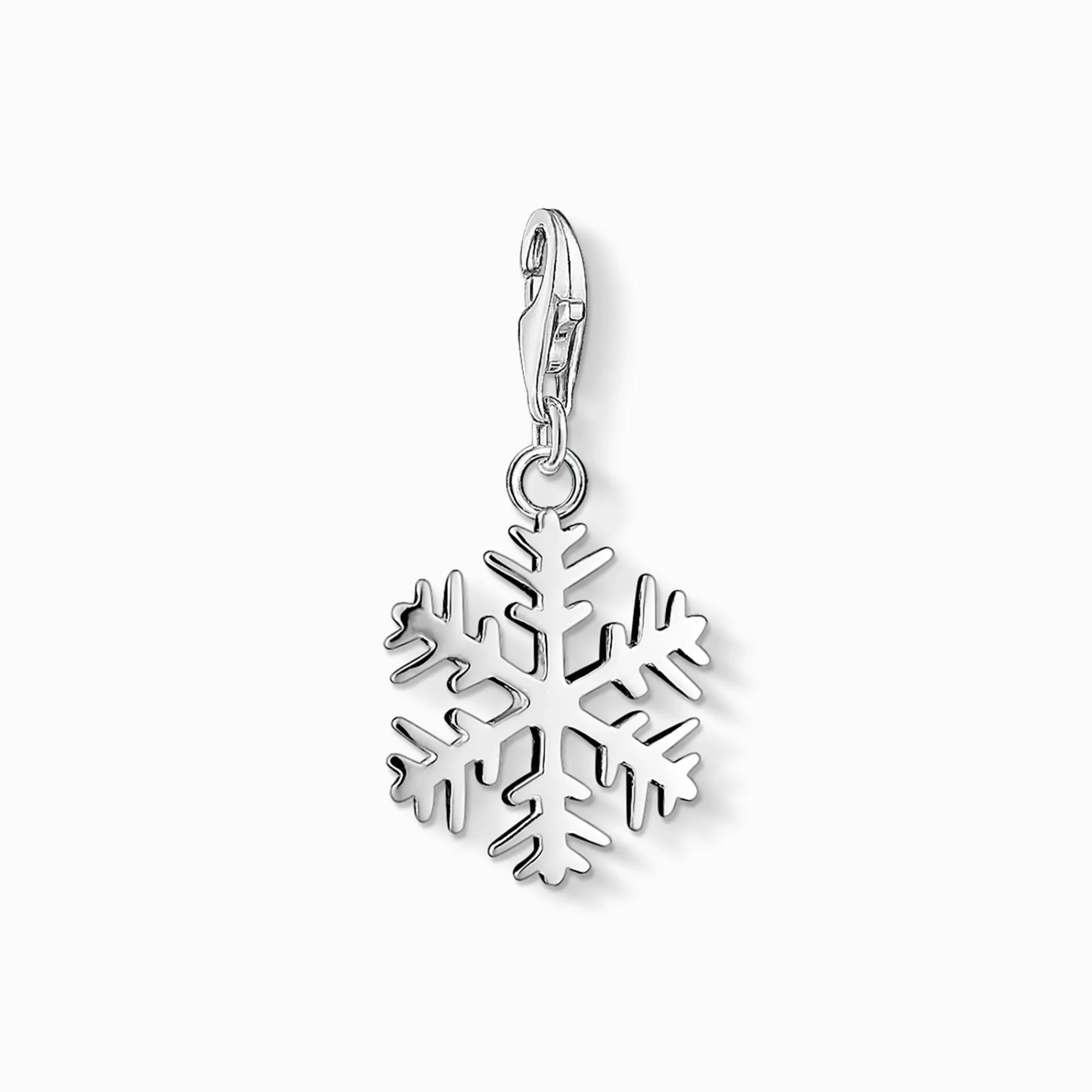 Best Sale colgante Charm copo de nieve Mujer Charms | Charms