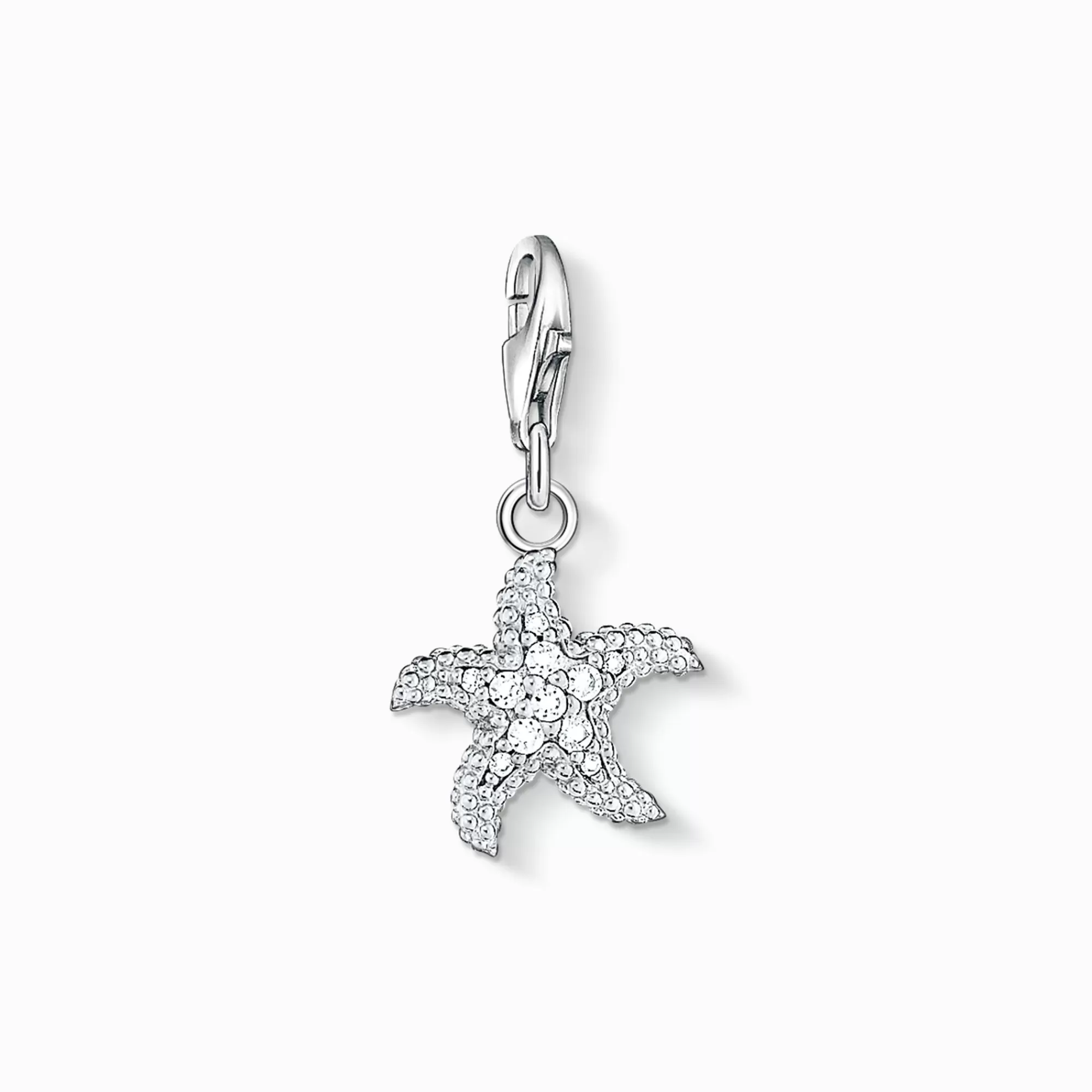 Store colgante Charm estrella de mar Mujer Charms | Charms