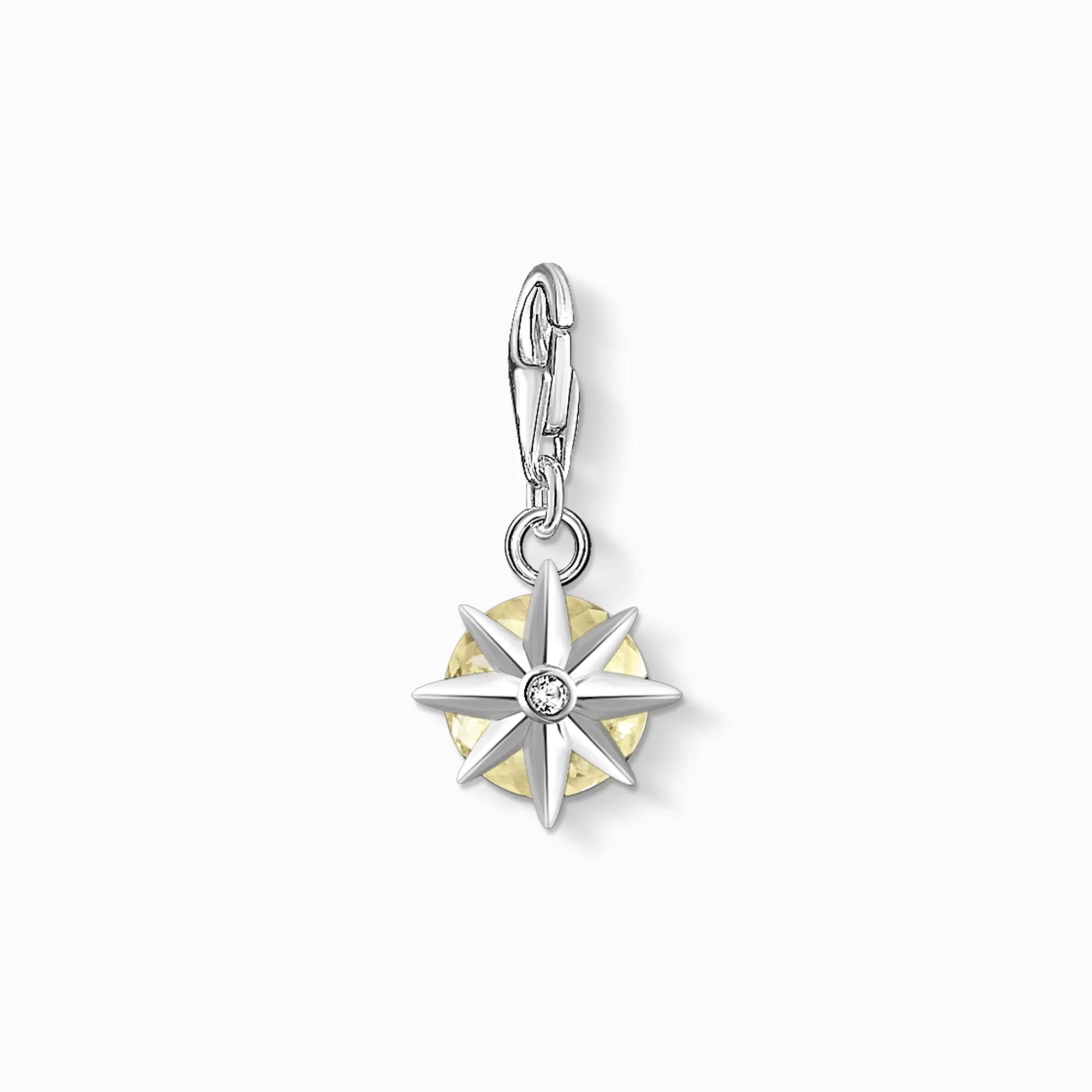 Hot colgante Charm piedra natal noviembre Mujer Charms | Charms