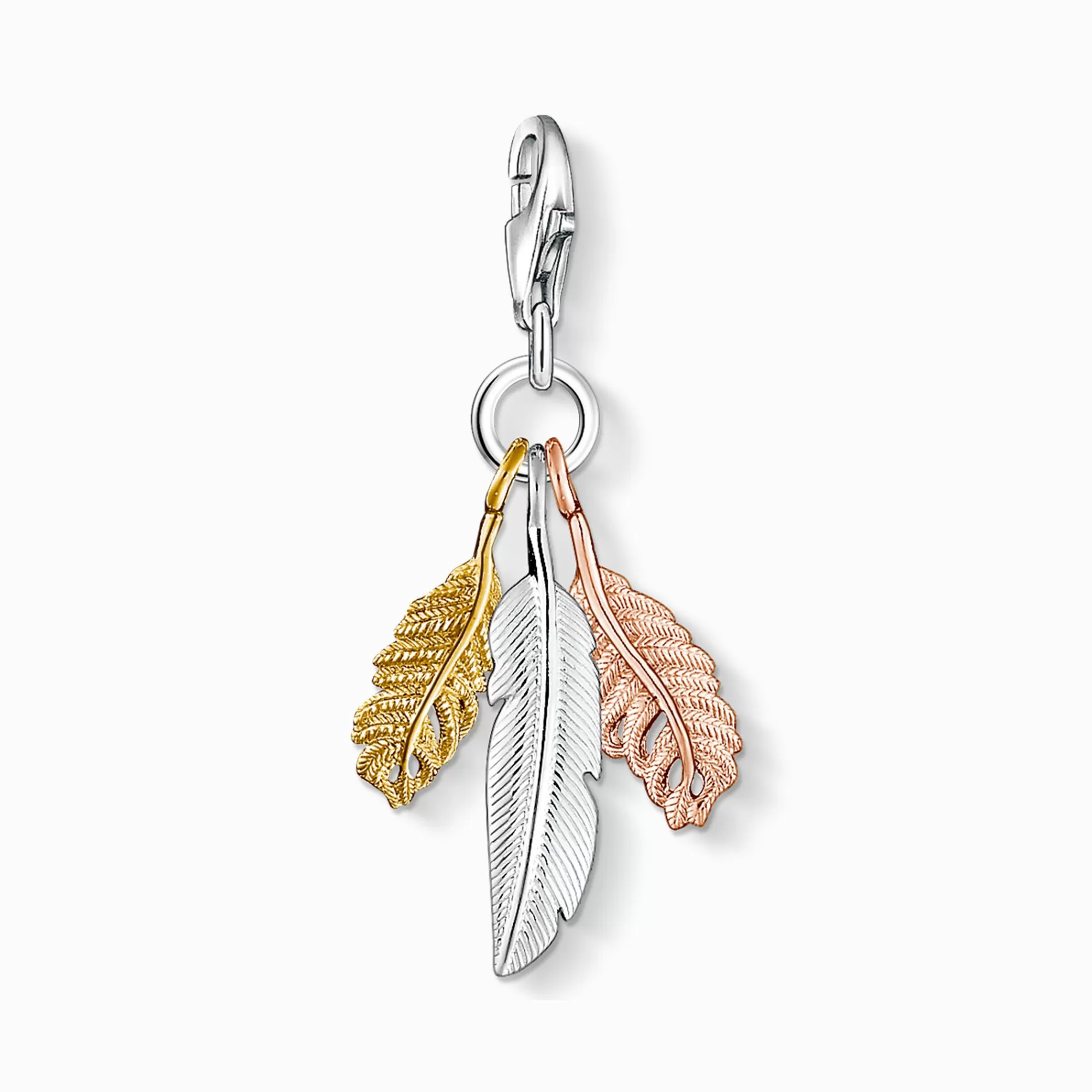 Discount colgante Charm plumas Mujer Charms | Charms